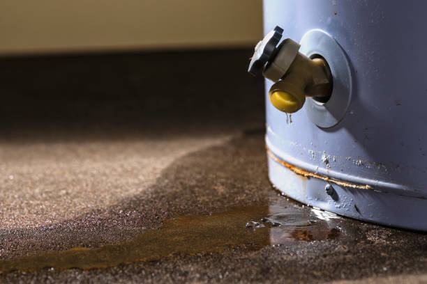 Best Mold removal after water damage  in Oyster Bay Cove, NY