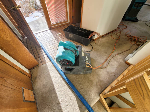  Oyster Bay Cove, NY Water damage restoration Pros