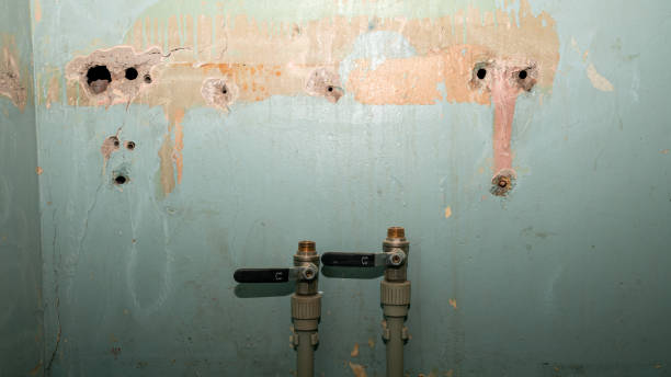 Best Water damage restoration near me  in Oyster Bay Cove, NY