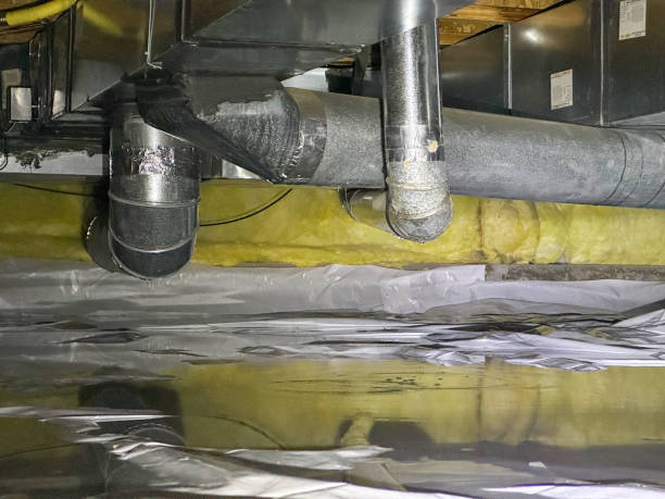 Best Carpet water damage restoration  in Oyster Bay Cove, NY