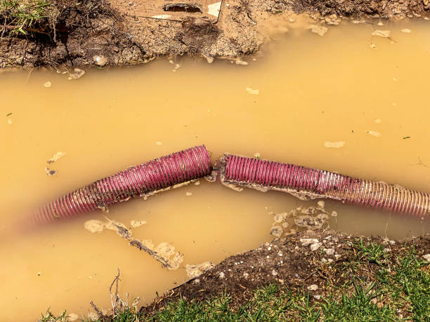 Best Professional water damage repair  in Oyster Bay Cove, NY