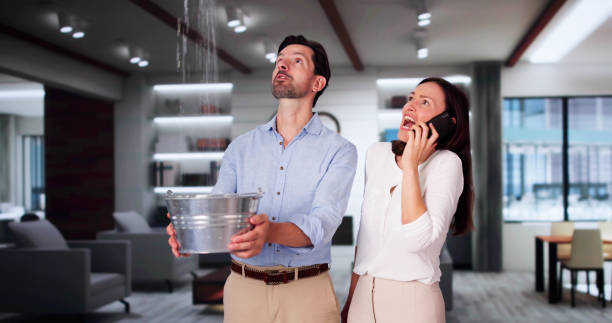 Best Ceiling water damage repair  in Oyster Bay Cove, NY